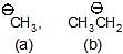 Carbocation & Carbanions | Chemistry Class 11 - NEET